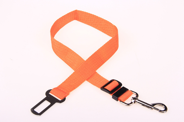 ORANGLES Fixed Strap Polyester Dog Strap Dog Leash - full product showcase - displaying specifications - Image 5 of 5 | adapts to any space | Fixed Strap Polyester Dog Strap Dog Leash deal New Jersey | Free Shipping ORANGLES