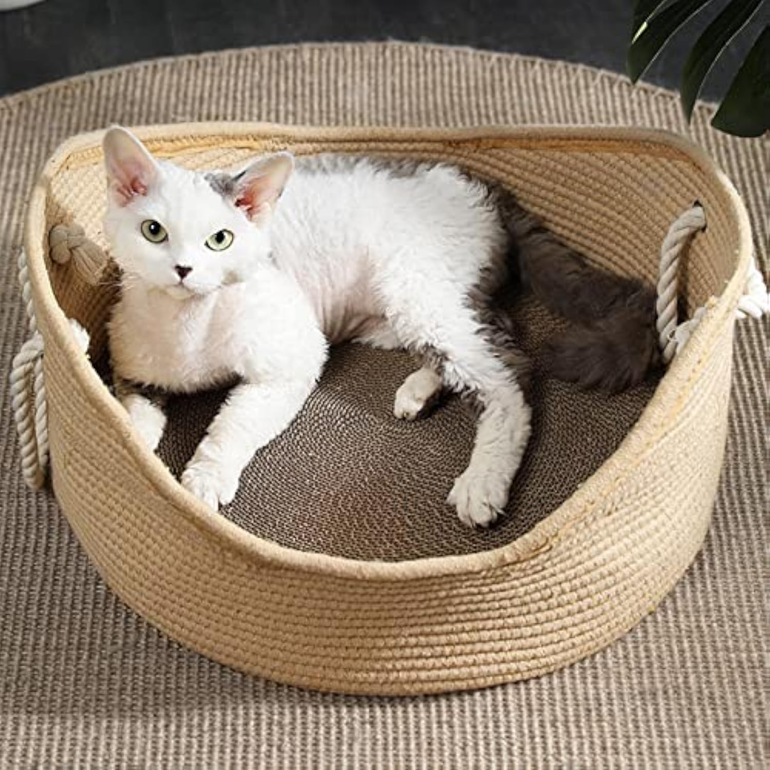 ORANGLES Wicker Cat Bed Basket With Scratching Board - detailed closeup view - illustrating benefits - Image 3 of 5 | created for all | Shop Wicker Cat Bed Basket With Scratching Board North Carolina | Free Shipping ORANGLES
