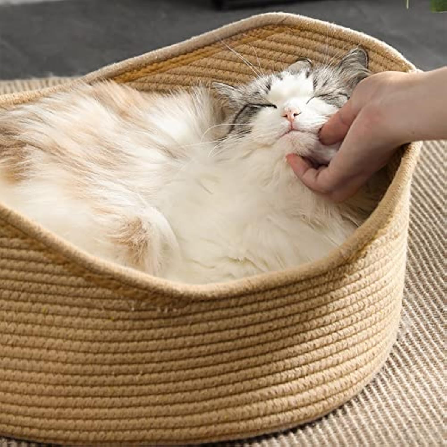 ORANGLES Wicker Cat Bed Basket With Scratching Board - full product showcase - displaying specifications - Image 5 of 5 | adapts to any space | Wicker Cat Bed Basket With Scratching Board deal New Jersey | Free Shipping ORANGLES