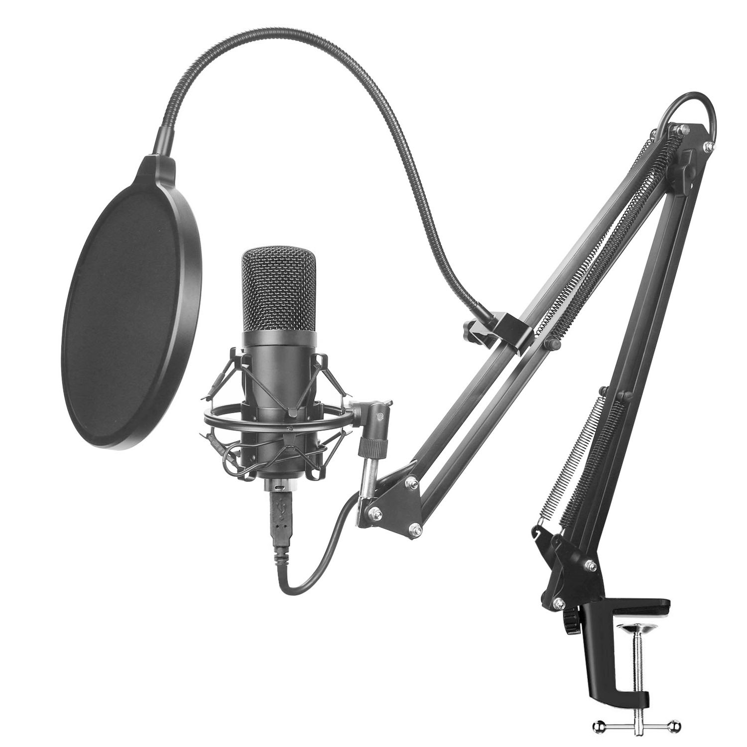 Professional Portable Microphone Set For Recording And Performance