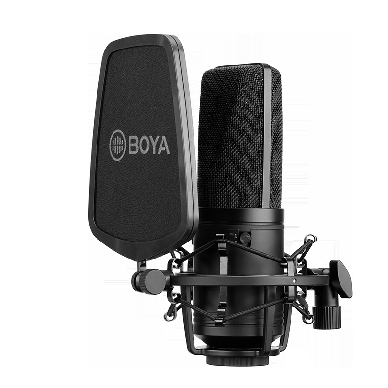Large Diaphragm Condenser Microphone For Computer And K Song