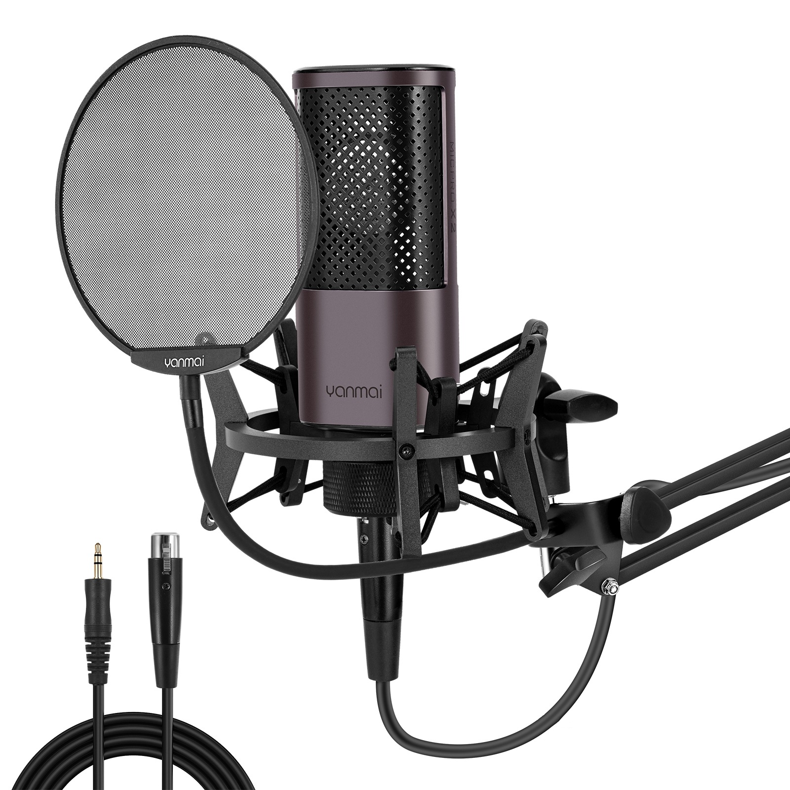 Mobile Phone And Computer Karaoke Recording Microphone